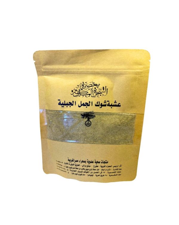 عشبة شوك الجمل الجبلية